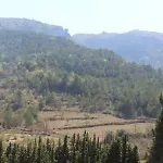 A - 
